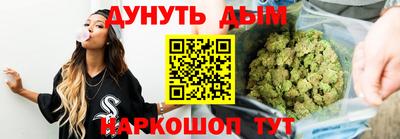 гашик Моздок