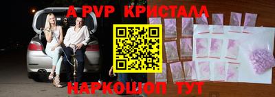 гашик Моздок