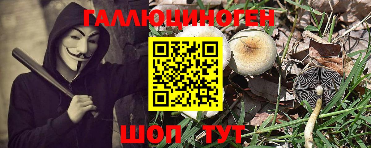 Тольятти  Галлюциногенные грибы MAGIC MUSHROOMS  Псилоцибиновые грибы прущие грибы  Вход с VPN 