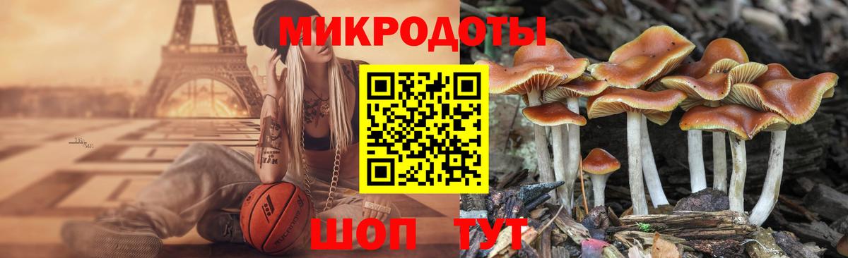 Псилоцибиновые грибы GOLDEN TEACHER Тольятти